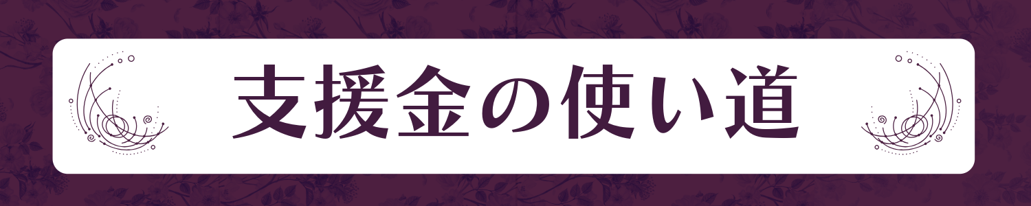 支援金の使い道